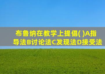 布鲁纳在教学上提倡( )A指导法B讨论法C发现法D接受法
